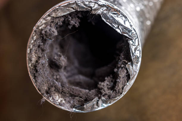 Best Affordable Air Duct Cleaning  in Bainbridge, GA