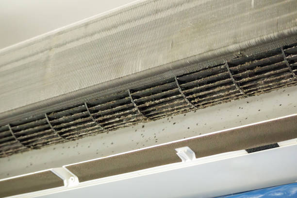 Best HVAC Duct Inspection Services  in Bainbridge, GA